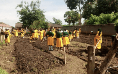 Planting Kitchen Gardens at Home and School